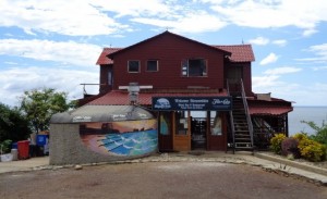Hostel Magnific Rock