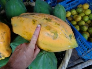 surfen in nicaragua