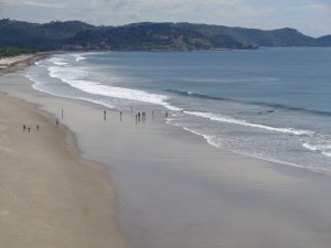 beached whale nicaragua