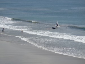 beached whale nicaragua