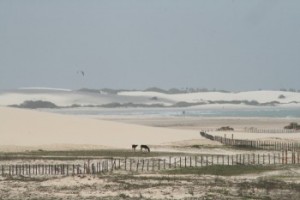 kiten kitesurfen jericoacoara Brasilien