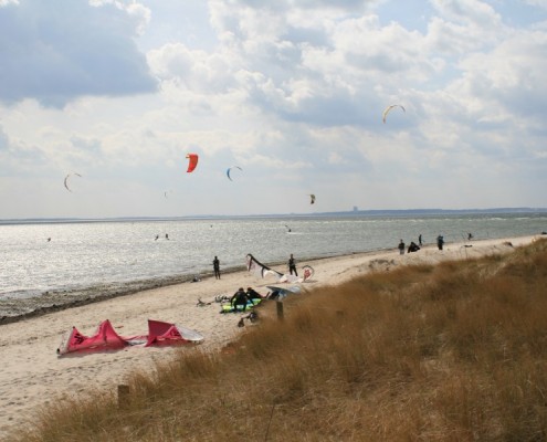 strand pelzerhaken ostsee kiter kitesurfen