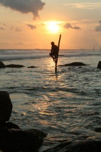 sri lanka man on a stick