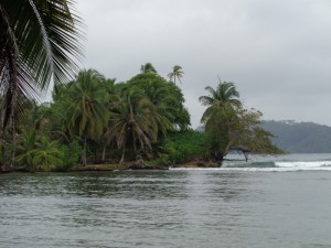 surfen Wellenreiten bocas del toro panama