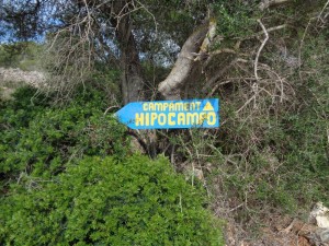 backpacker, backpacking, billig, campen, Campingplatz, günstig, Mallorca, malle, mallorca, reise, Mallorca, reise Spanien, reisen, übernachten mallorca, Unterkunft,Mallorca, Zelt, zelten, zeltplatz