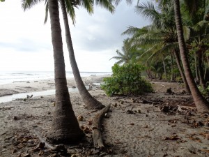 Reisen in Costa Rica Santa Teresa