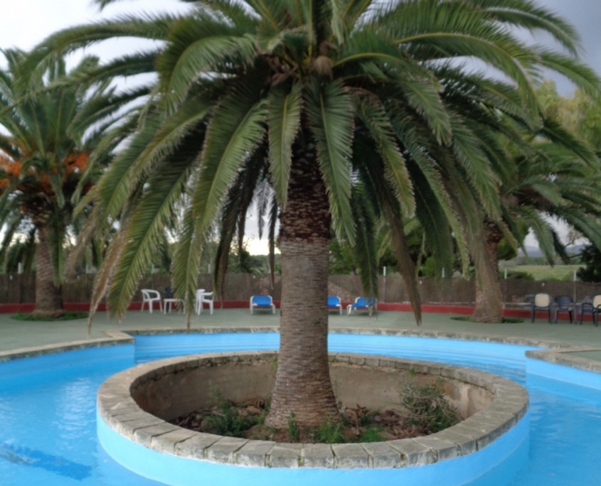 campen auf mallorca