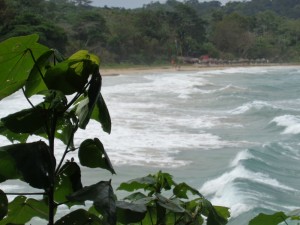surfen Wellenreiten bocas del toro panama