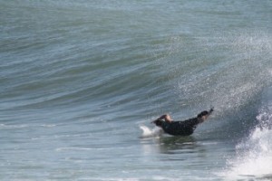 surf fitness