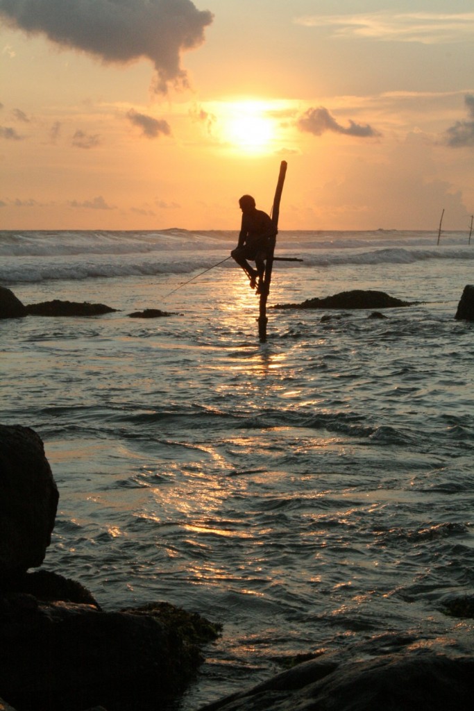 Surfen in Sri Lanka