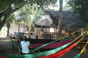 surfen in sri lanka