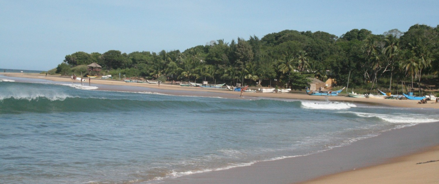 Surfen in Sri Lanka