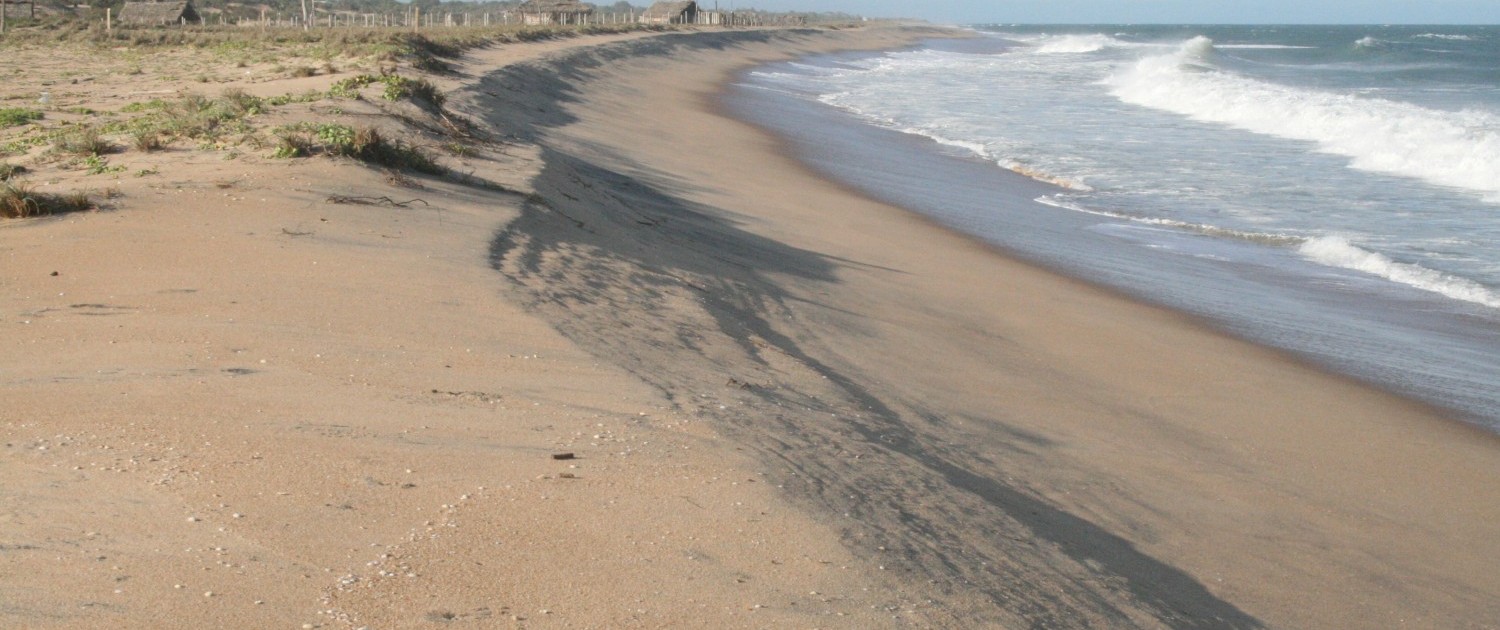 Surfen in Sri Lanka