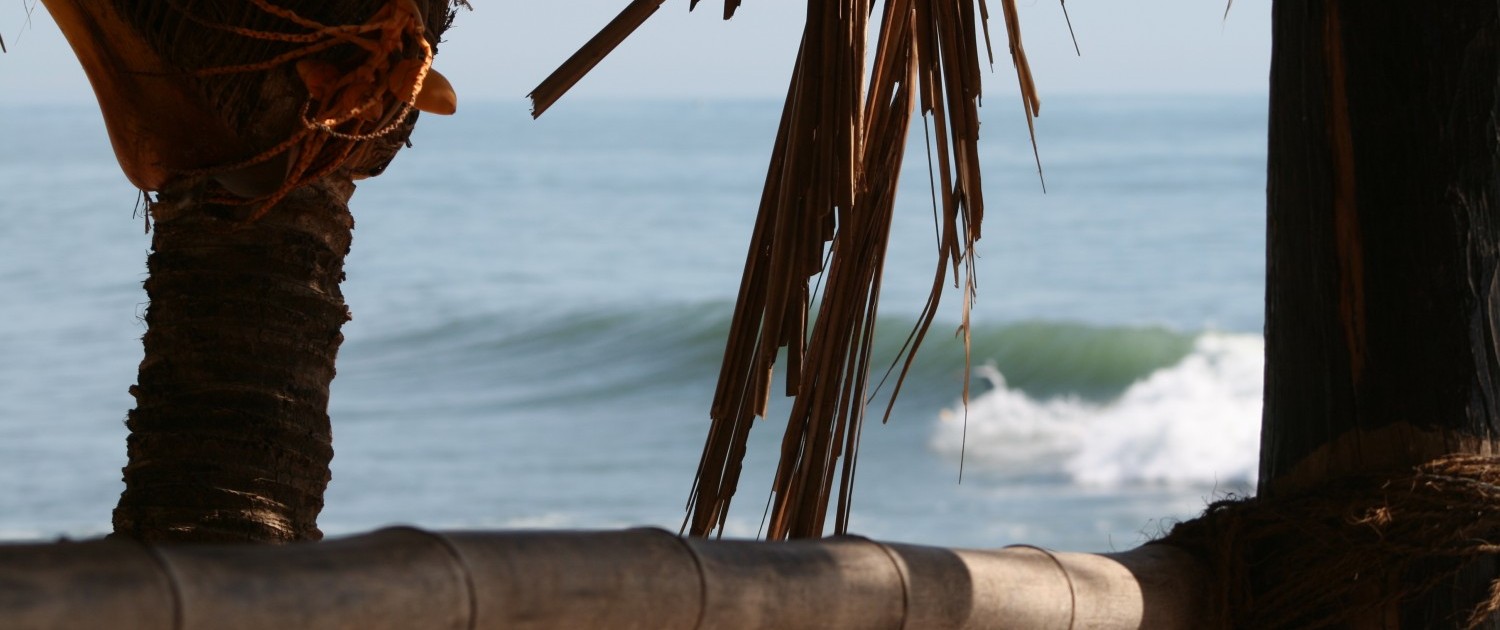 Surfen in Sri Lanka