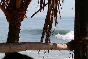 Surfen in Sri Lanka