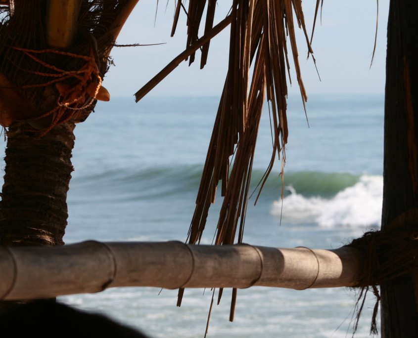 Surfen in Sri Lanka