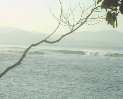 Surfen in Santa Catalina