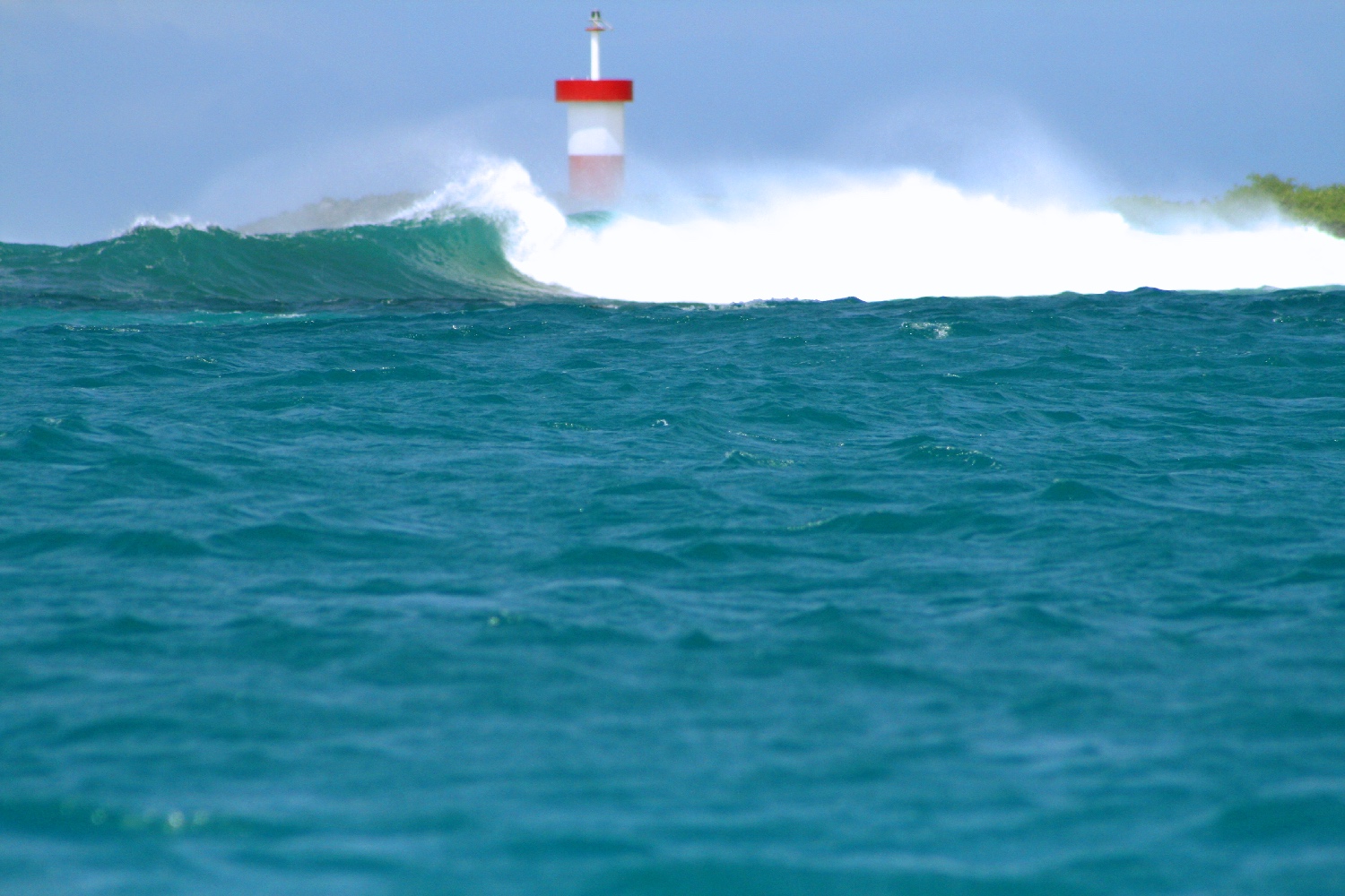 surfing galapagos