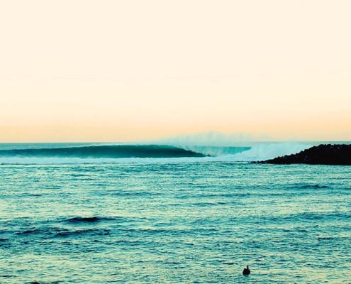 surfing galapagos