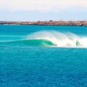 surfing galapagos