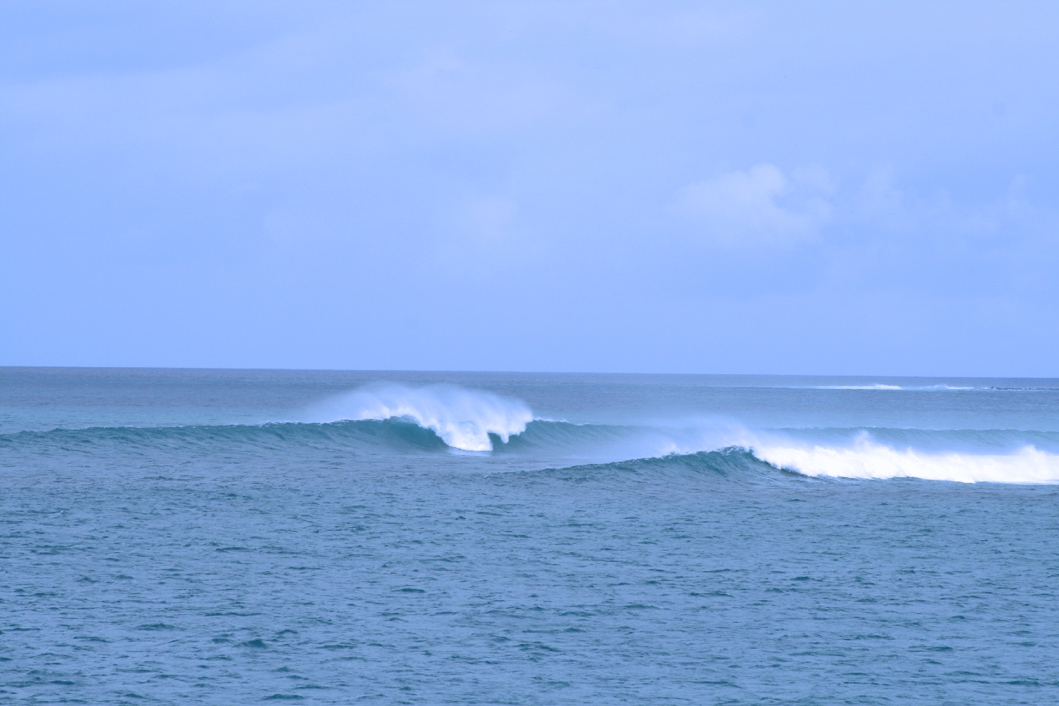 surfing galapagos