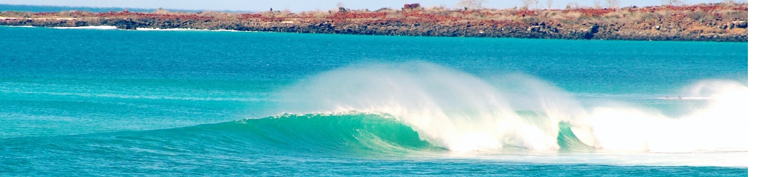 surfing galapagos