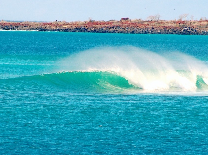 surfing galapagos