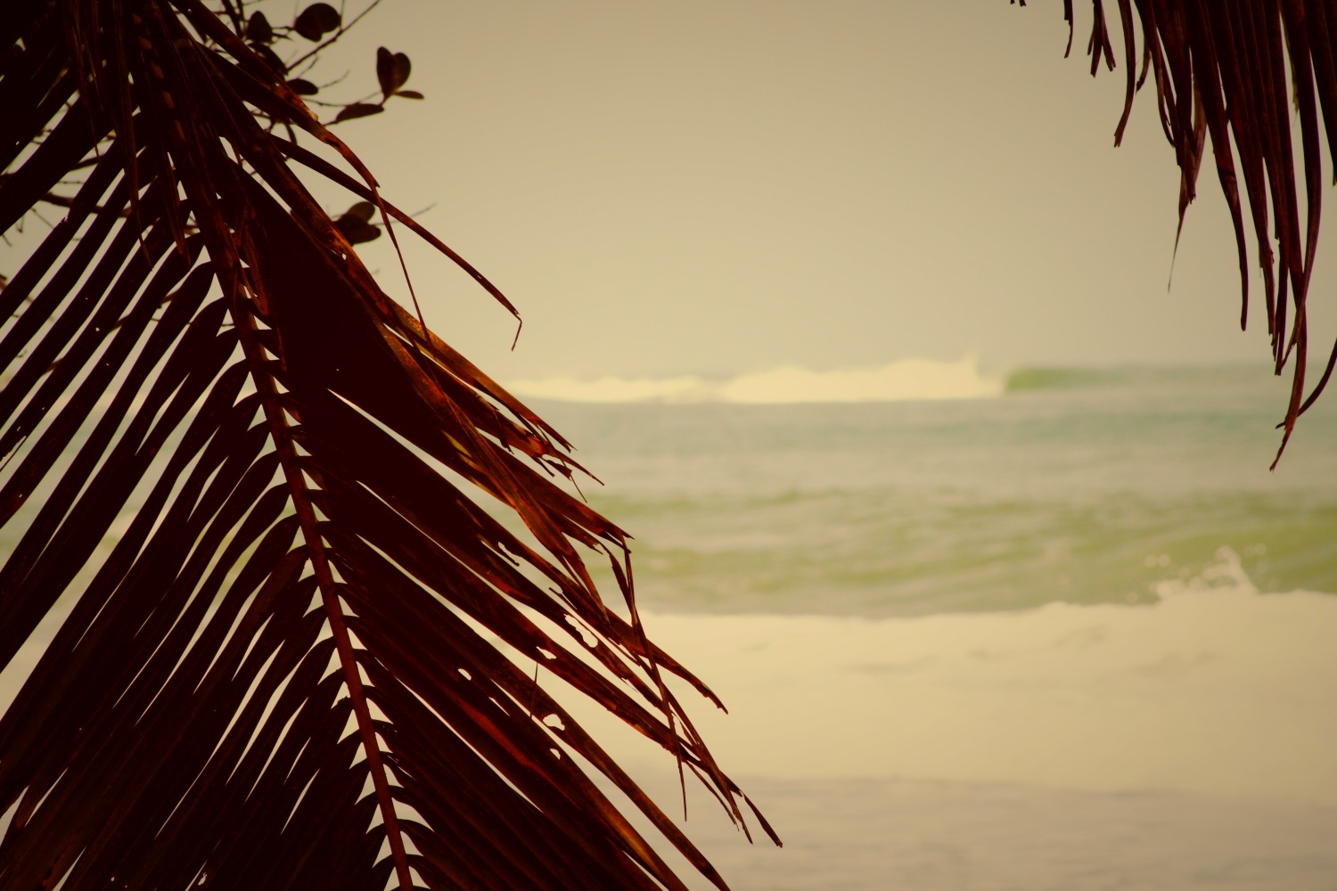 Surfen in Panama