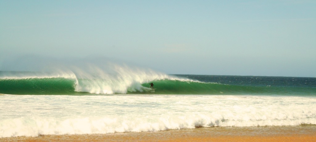 surfen im fruehling