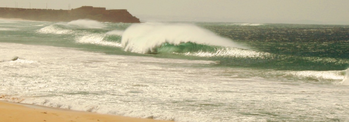 surfen im fruehling