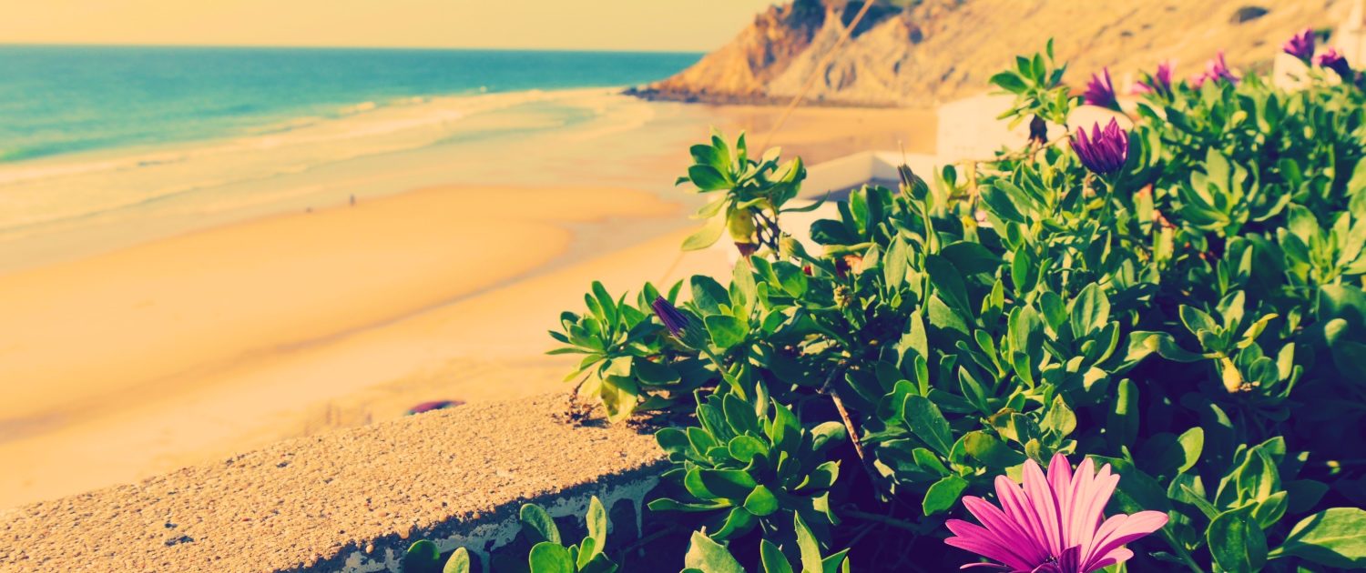 surfen algarve