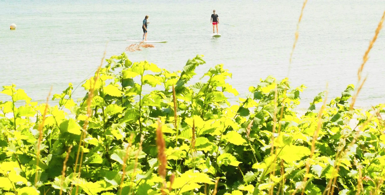 Surfen Lübecker Bucht