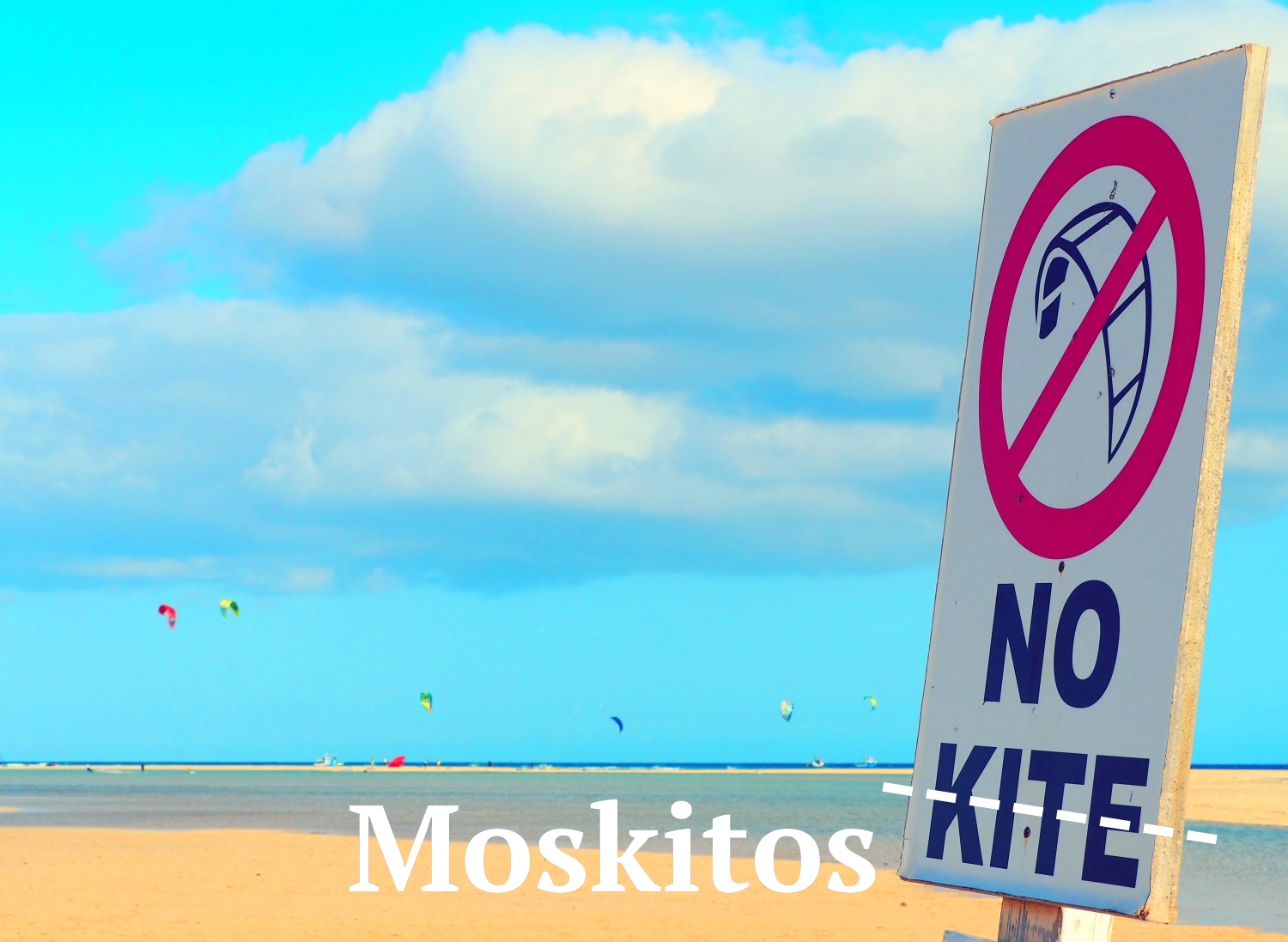 Moskitos surfen titel